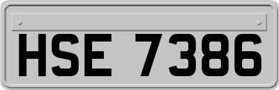 HSE7386