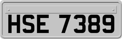 HSE7389