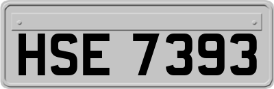 HSE7393