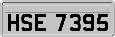 HSE7395