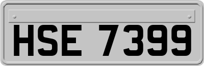 HSE7399