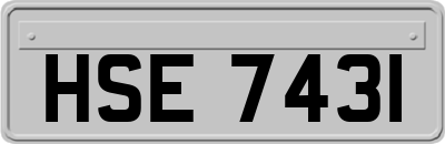 HSE7431