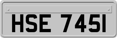 HSE7451