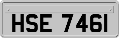 HSE7461