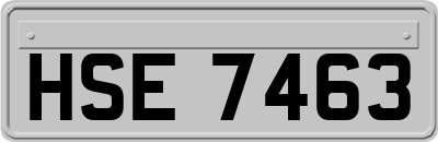 HSE7463
