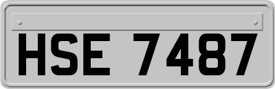HSE7487