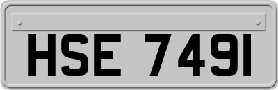 HSE7491
