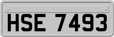 HSE7493