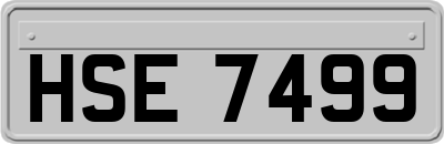 HSE7499