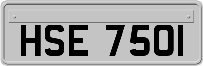HSE7501