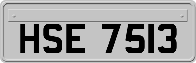 HSE7513