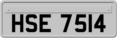 HSE7514