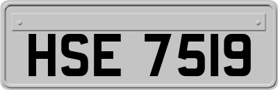 HSE7519