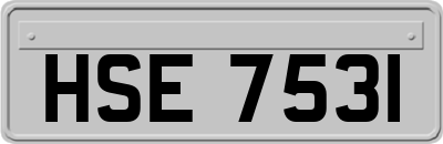 HSE7531