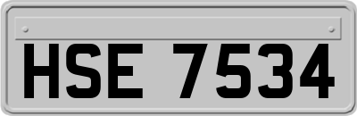 HSE7534
