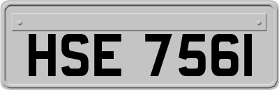 HSE7561