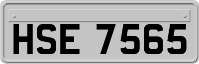 HSE7565