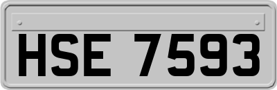 HSE7593