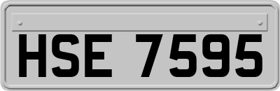 HSE7595