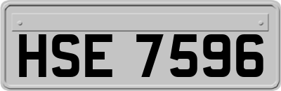 HSE7596