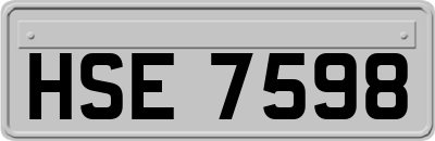 HSE7598