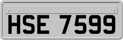 HSE7599