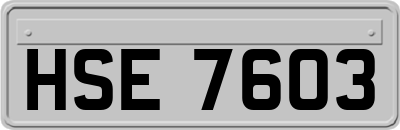HSE7603