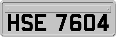HSE7604