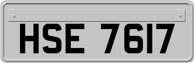 HSE7617