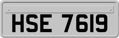 HSE7619