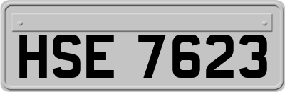 HSE7623