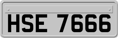HSE7666