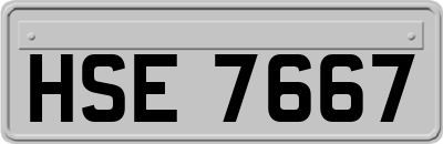 HSE7667