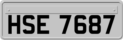 HSE7687