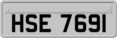 HSE7691