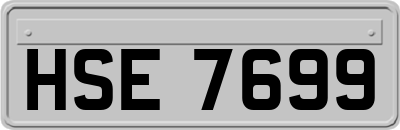 HSE7699