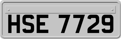 HSE7729