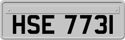 HSE7731