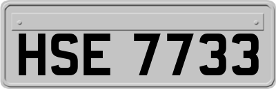 HSE7733