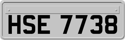 HSE7738