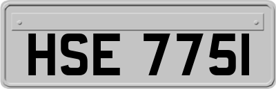 HSE7751