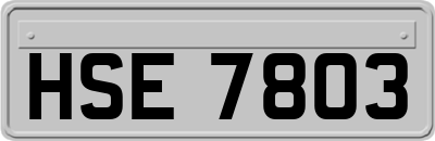 HSE7803