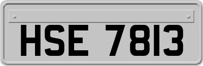 HSE7813
