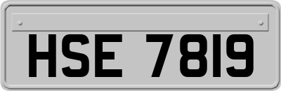 HSE7819