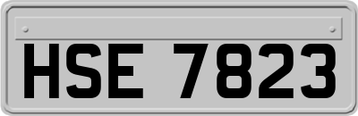 HSE7823