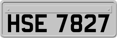 HSE7827