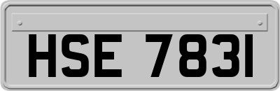 HSE7831