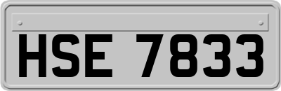 HSE7833