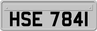 HSE7841