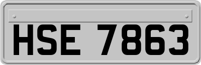 HSE7863